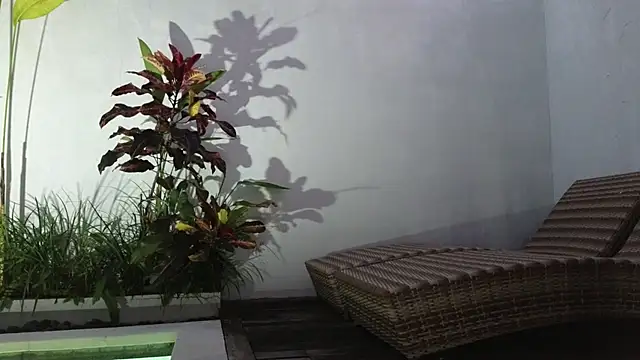 TammiLou online show from March 6, 2025, 10:52 am