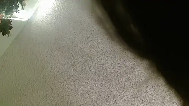 Yescuhh420 online show from January 14, 2026, 9:26 am