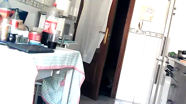 bixesualactivo online show from March 23, 2026, 11:58 am