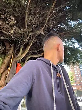 Snapshot of yequeal chatting on December 3, 2024, 3:11 pm yequeal online show from December 3, 2024, 3:11 pm