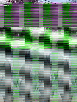 Snapshot of Alicbranca chatting on September 17, 2025, 4:41 pm Alicbranca online show from September 17, 2025, 4:41 pm