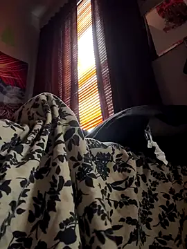 Snapshot of spideyzaddy chatting on November 26, 2025, 4:41 pm spideyzaddy online show from November 26, 2025, 4:41 pm