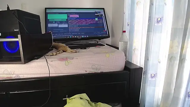 eolicasex online show from January 19, 2025, 4:25 pm