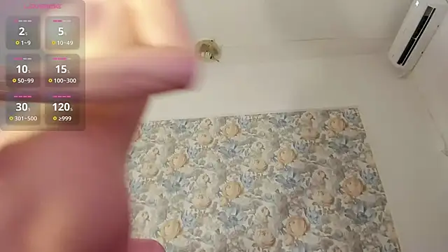 illegal lorry online show from February 15, 2026, 5:26 am