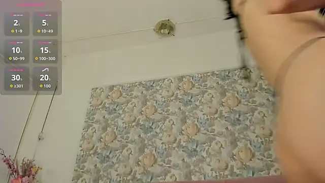 illegal lorry online show from April 1, 2026, 5:30 am