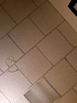 curiouscock38 online show from November 20, 2025, 11:54 am