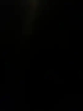 Furdale online show from December 9, 2024, 5:52 pm