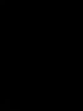 Furdale online show from December 11, 2024, 12:12 pm