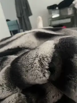 Furdale online show from December 18, 2024, 11:56 am