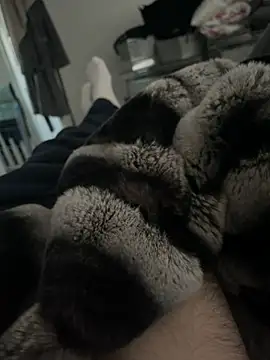 Furdale online show from December 18, 2024, 3:00 pm