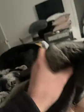 Furdale online show from February 16, 2025, 2:32 pm