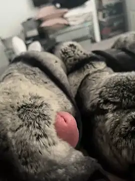 Furdale online show from February 26, 2025, 12:58 pm