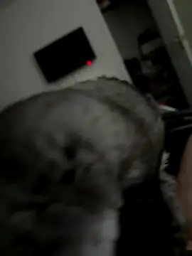 Furdale online show from October 2, 2025, 3:30 pm