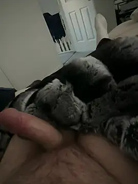 Furdale online show from February 28, 2026, 5:03 pm