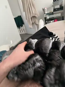 Furdale online show from March 7, 2026, 3:42 pm