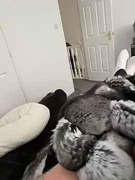 Furdale online show from March 18, 2026, 2:20 pm