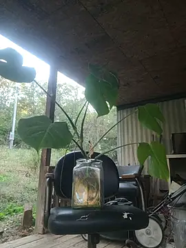 xomikaylaxo online show from October 30, 2025, 10:32 pm