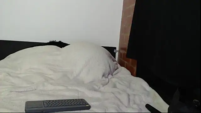 Snapshot of Sofynix chatting on November 15, 2025, 12:30 am Sofynix online show from November 15, 2025, 12:30 am