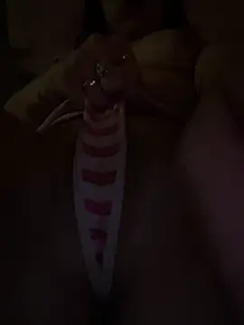 sluttyjasmine12 online show from March 12, 2026, 6:52 am