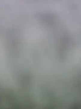 fuckineverett online show from March 15, 2025, 3:48 pm