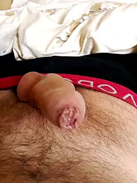 Snapshot of Robertvirt chatting on November 25, 2025, 10:37 am Robertvirt online show from November 25, 2025, 10:37 am