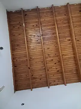 ZaraHoney online show from January 20, 2025, 10:59 pm