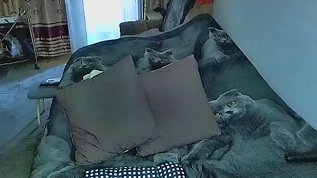 sex2 online show from September 25, 2025, 11:52 pm