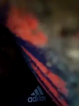 Pitercom online show from February 12, 2026, 2:56 pm