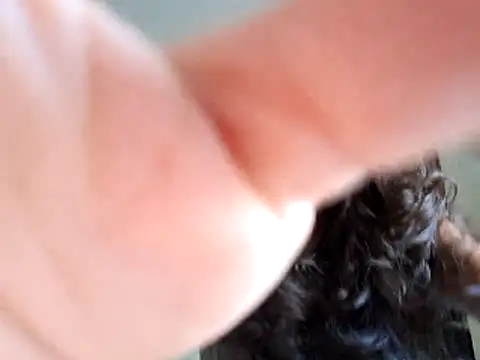 Abysparadise online show from November 11, 2025, 5:46 pm