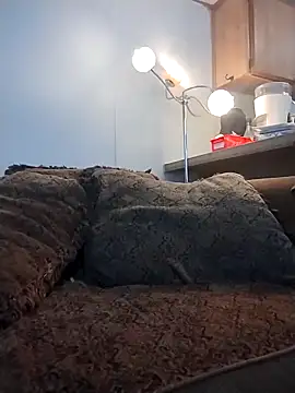 Yankeedave420 online show from March 16, 2026, 11:31 pm