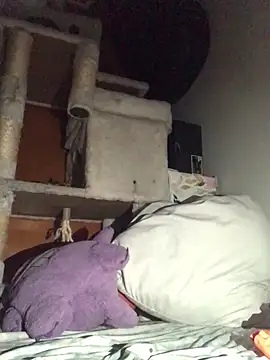 Snapshot of BIG-CkD_F chatting on January 13, 2025, 12:02 pm BIG-CkD F online show from January 13, 2025, 12:02 pm