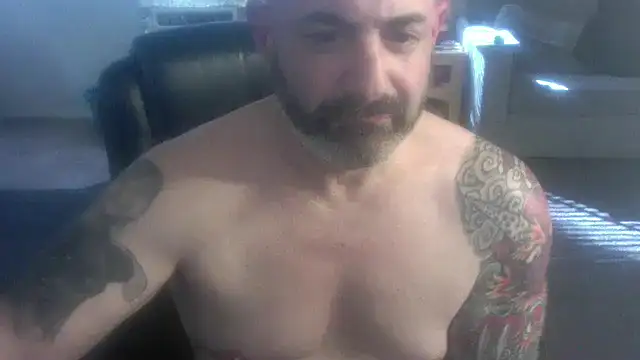 palidin1 online show from February 4, 2026, 8:14 pm