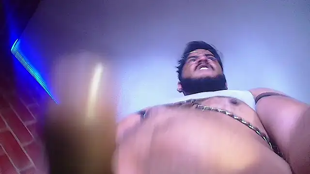 the master foal  online show from January 23, 2025, 3:43 pm