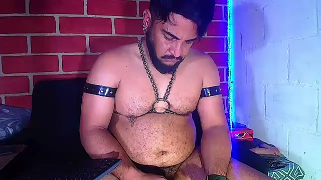 the master foal  online show from January 28, 2025, 8:36 am