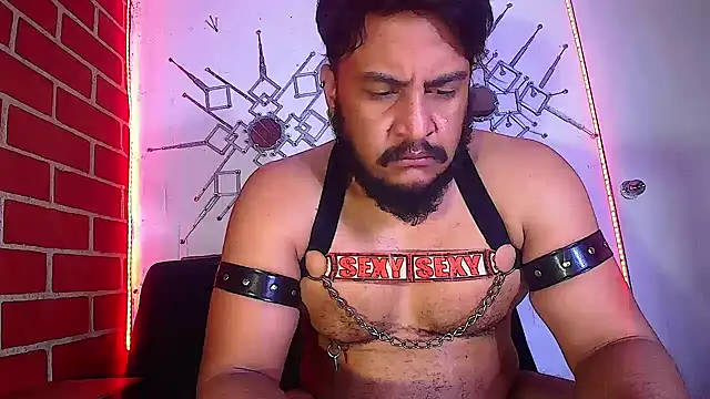 the master foal  online show from February 16, 2025, 11:05 am