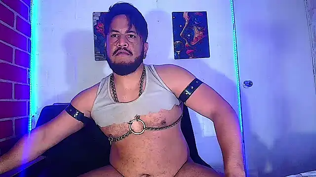 the master foal  online show from February 18, 2025, 7:10 am