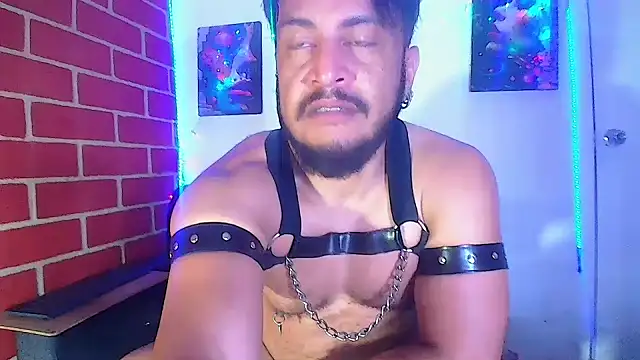 the master foal  online show from March 7, 2025, 4:57 am