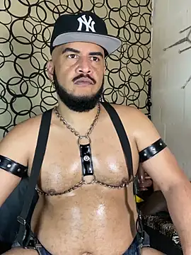 the master foal  online show from March 12, 2026, 7:47 am