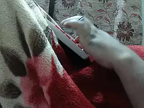 FUN4TIPS online show from February 25, 2025, 5:04 pm