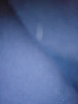 Snapshot of Arbitrair chatting on October 28, 2025, 5:37 pm Arbitrair online show from October 28, 2025, 5:37 pm