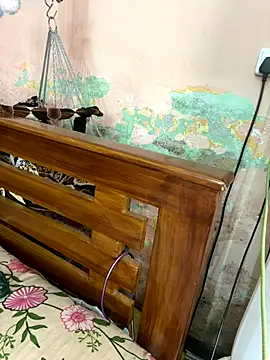 falooda288 online show from October 28, 2025, 8:40 am