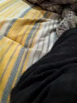 Snapshot of Yaramaz331 chatting on March 9, 2025, 6:39 am Yaramaz331 online show from March 9, 2025, 6:39 am