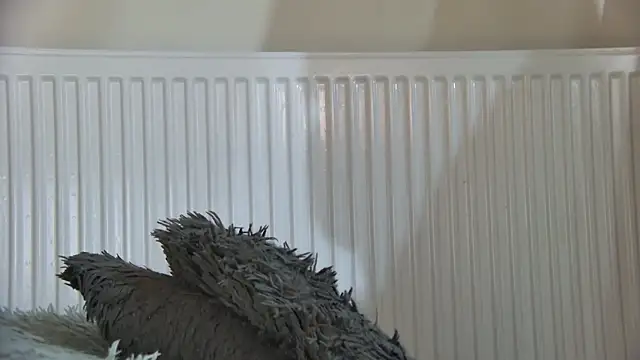 Snapshot of curvyana69 chatting on January 5, 2026, 5:27 pm curvyana69 online show from January 5, 2026, 5:27 pm