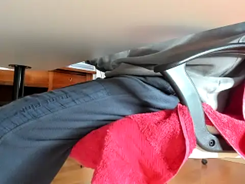 leccaleccafiga online show from February 13, 2025, 9:20 am