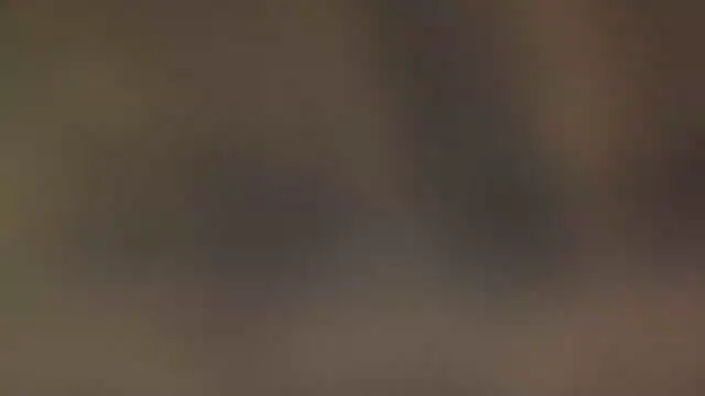 leccaleccafiga online show from March 10, 2026, 2:00 pm