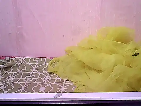 bridgette4u online show from December 17, 2025, 12:27 am