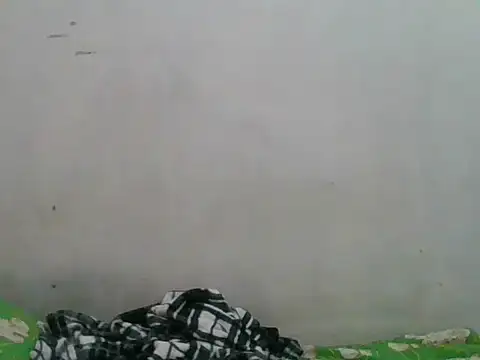 Snapshot of simplewild_mom chatting on September 18, 2025, 12:34 am simplewild mom online show from September 18, 2025, 12:34 am