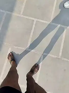 Player Aadi online show from December 16, 2024, 7:58 am