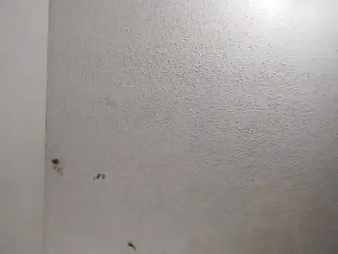 247Srokin online show from April 1, 2026, 11:00 am