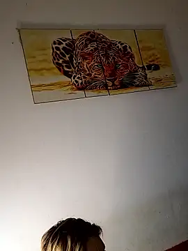 Snapshot of shaynarg chatting on March 9, 2026, 8:29 am shaynarg online show from March 9, 2026, 8:29 am